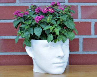 Blumentopf mit gesicht Etsy.de