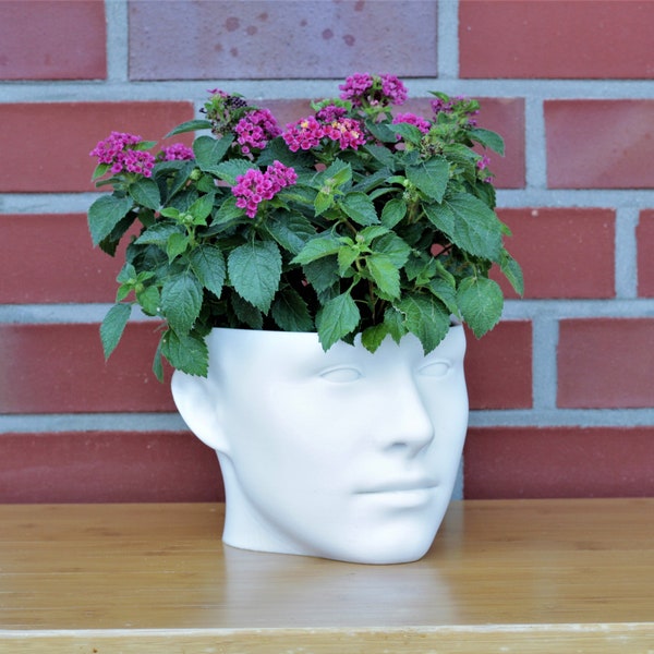 Blumentopf Gesicht Ausgefallene Dekovasen Groß Kopf Vase mit Gesicht als Pflanzkübel Aussen und Innen