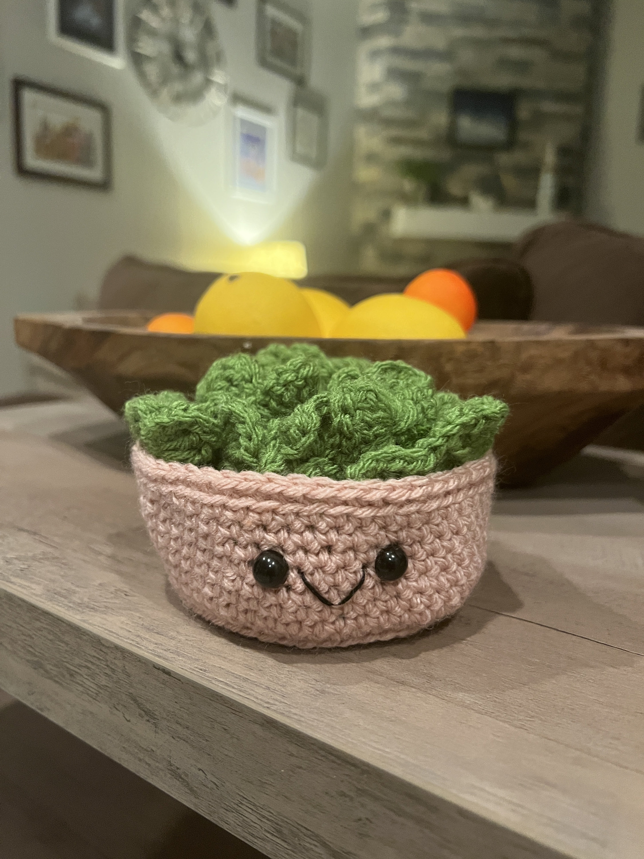 Crochet Succulent Coasters Etsy