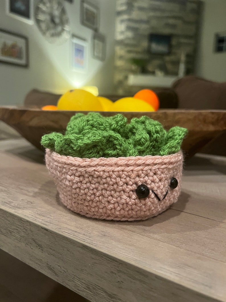 Crochet Succulent Coasters Etsy