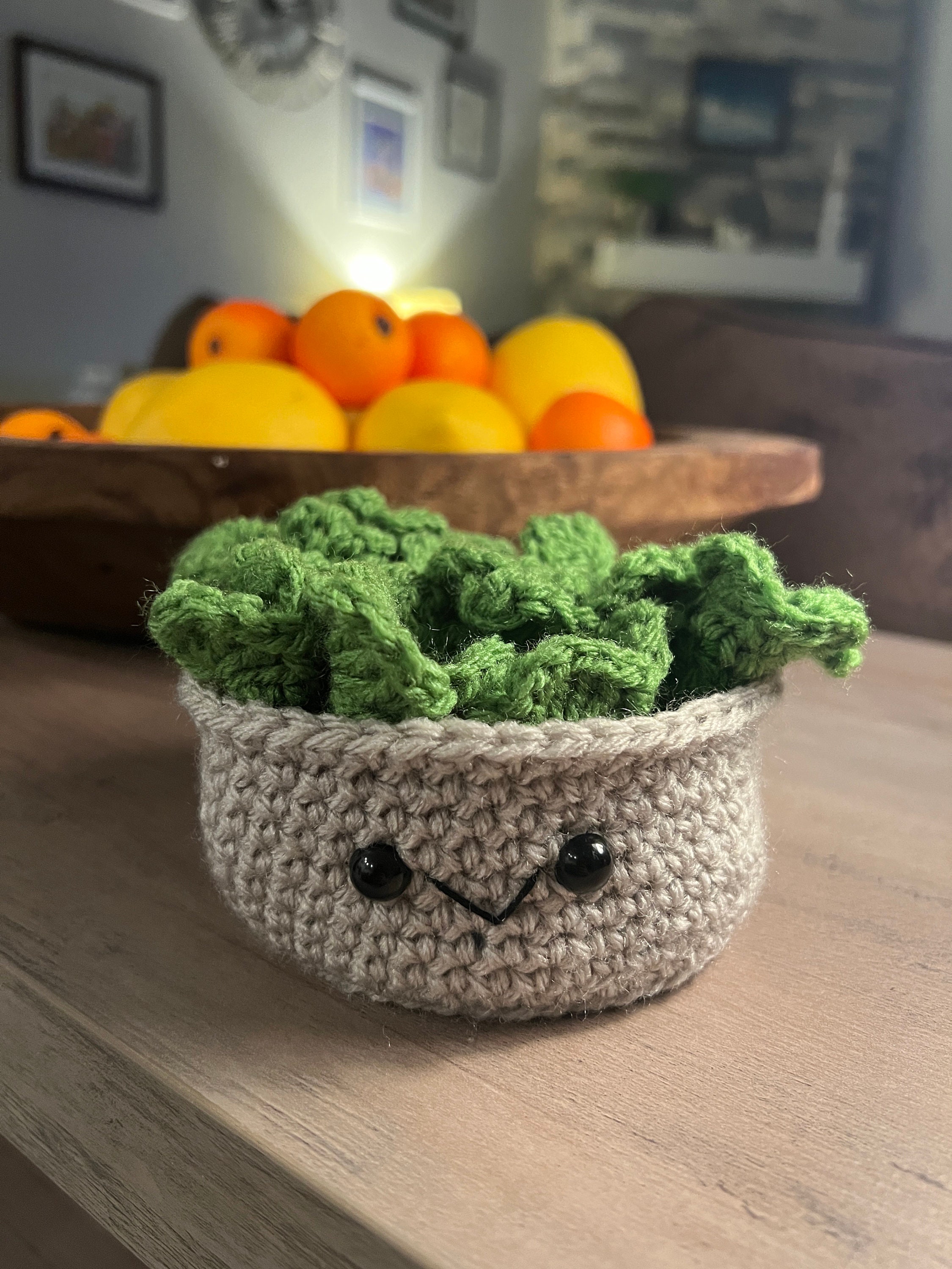 Crochet Succulent Coasters Etsy