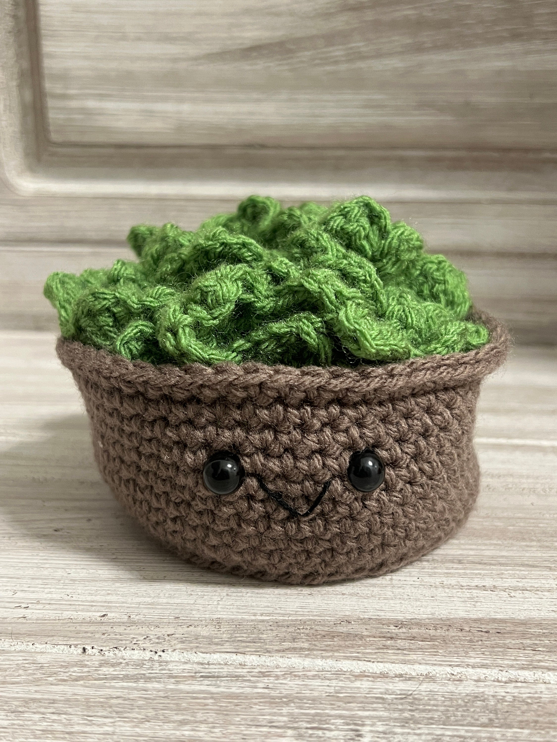 Crochet Succulent Coasters Etsy