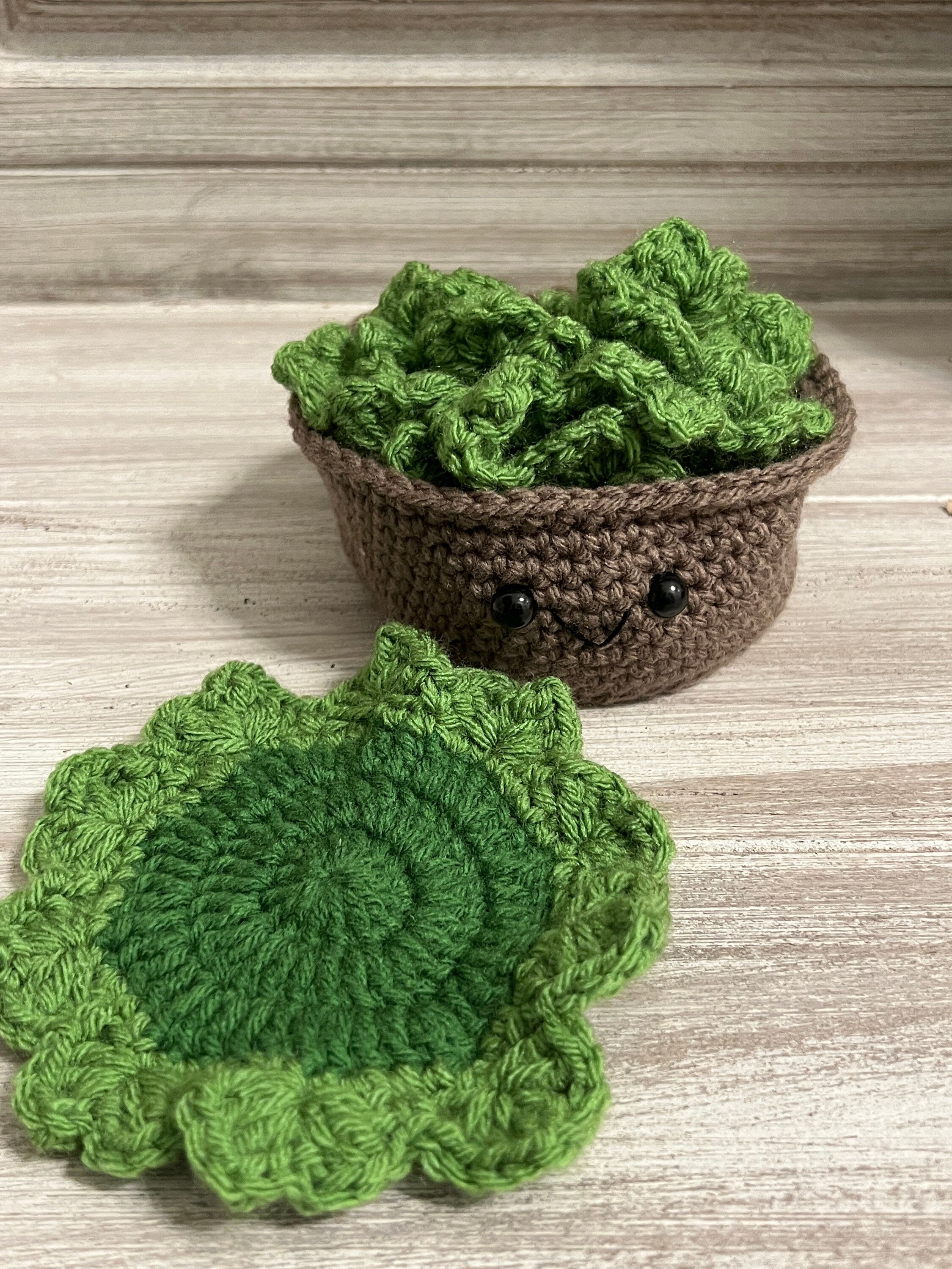 Crochet Succulent Coasters Etsy