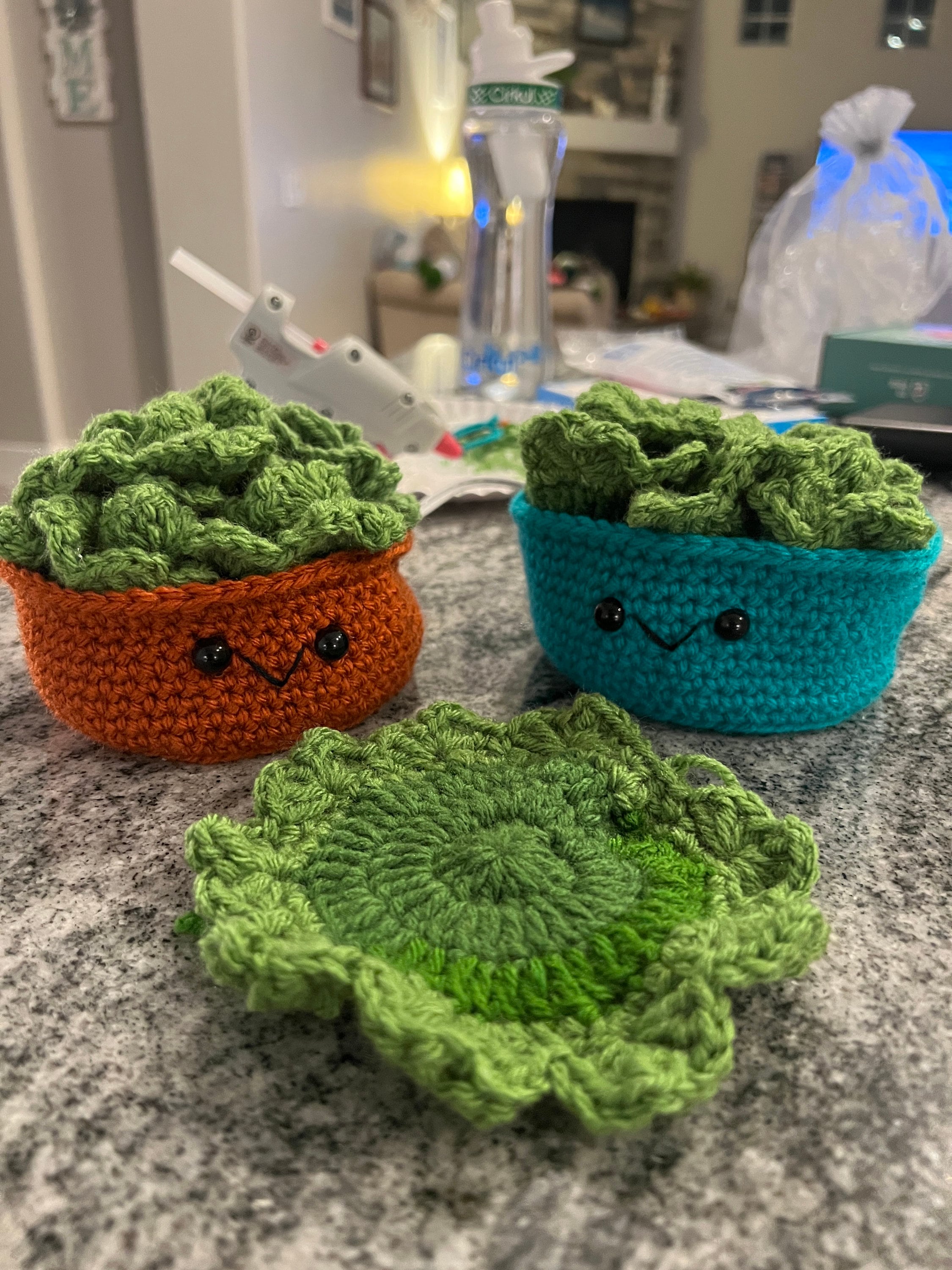 Crochet Succulent Coasters Etsy
