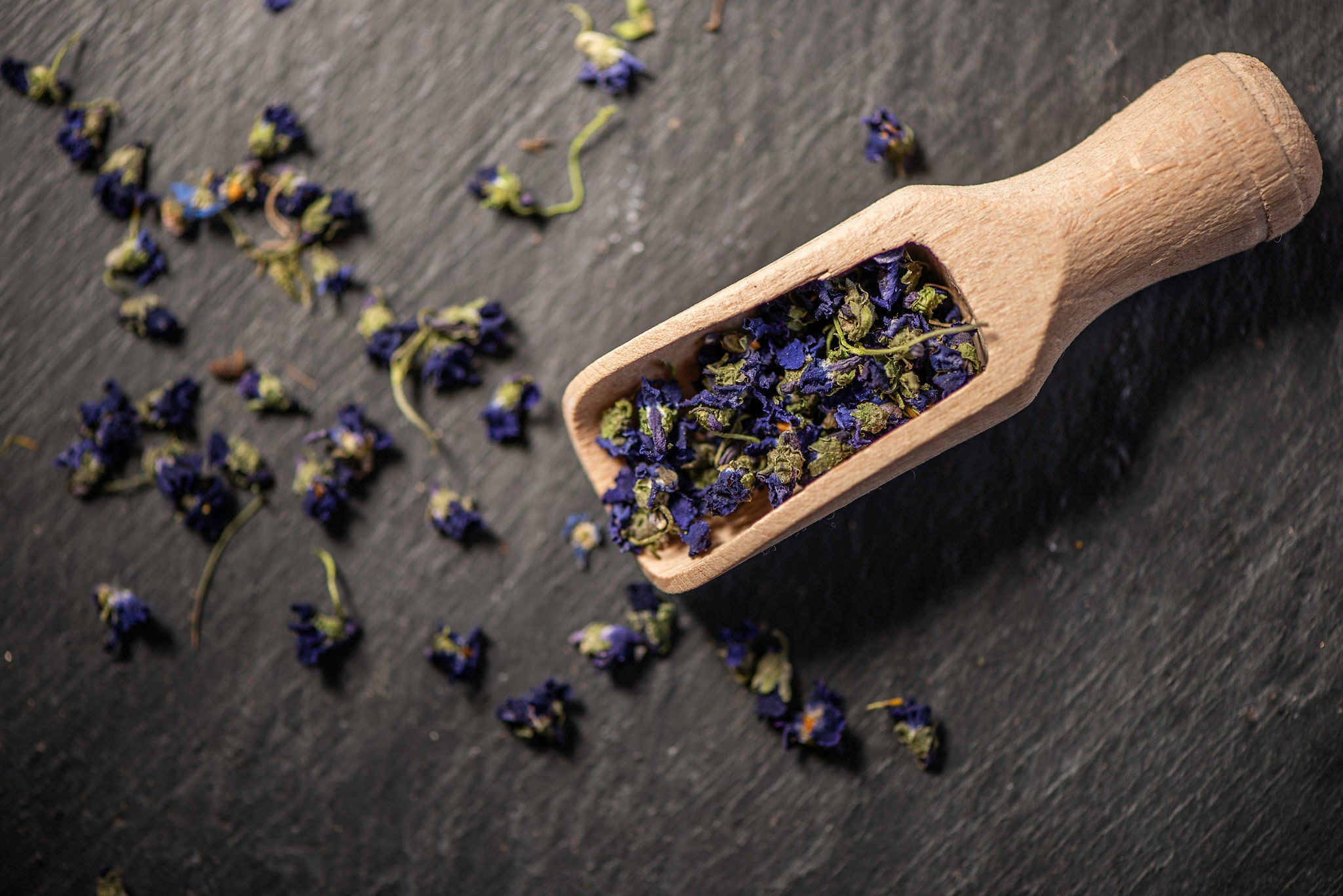 Sweet Wood Violet Viola Violetta Odorata Dried Flowers for Etsy