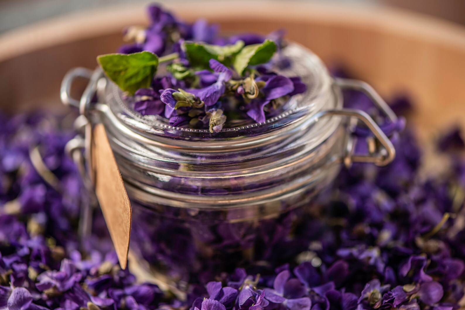 Sweet wood violet viola violetta odorata dried flowers for Etsy
