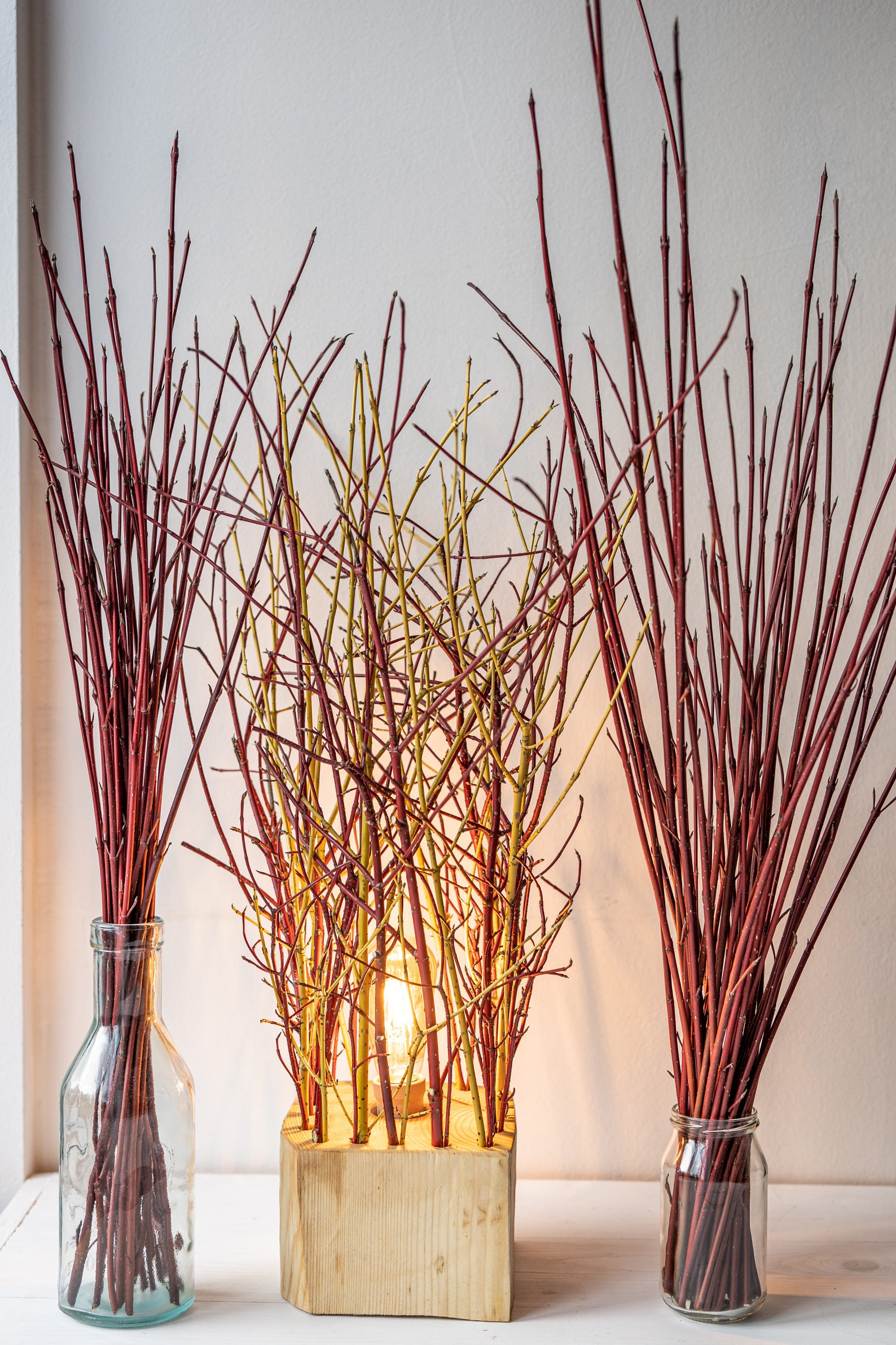 Red Dogwood Stems branches Twigs for Home Decor and Crafts Etsy