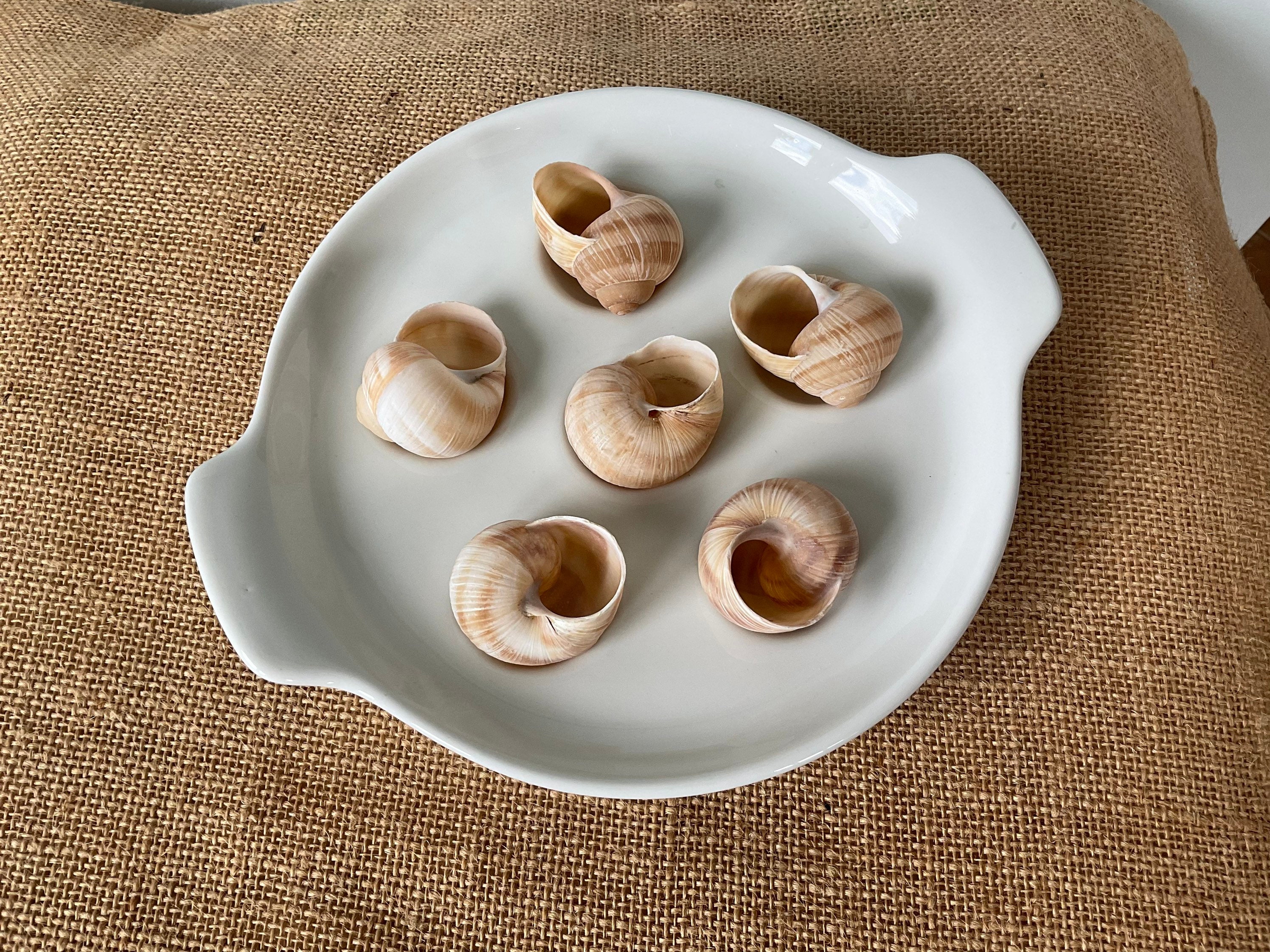 Le Creuset. 2 assiettes à escargots fonte émaillée - Arts de