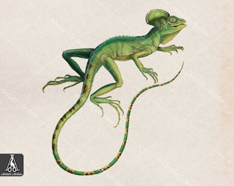 Illustrazione lucertola ClipArt vintage, Iguana, Pittura, Collage, Risorsa scrapbooking, Stampabile
