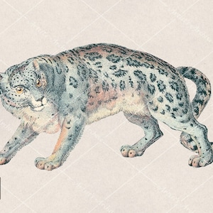 Ilustração de clipart de leopardo da neve, vintage, pintura, colagem, recurso de scrapbooking, para impressão, download digital