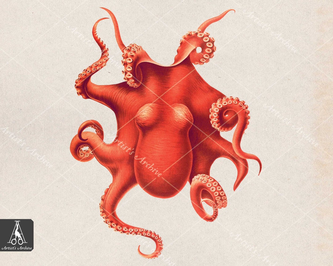 Octopus Bitmap Octopus Vintage Clip Art, Illustration, Painting, Collage, Scrapbooking ...