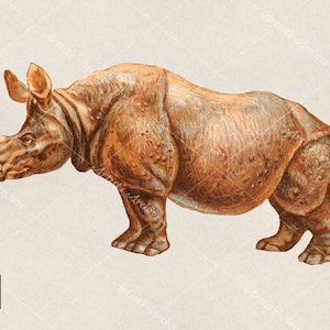Vintage Rhino Clip Art, Illustration, Rhinoceros, Painting, Collage, Scrapbooking Resource, Printable, Digital Download