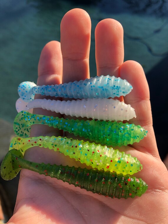 CUSTOMIZED 3 Finesse Ripper Swimbait 8 Erpack | Etsy