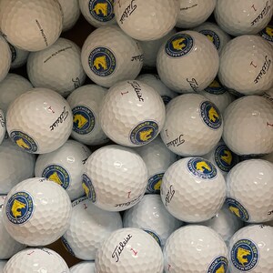 Custom gold Ball, Personalized logo and photo on golf ball, Titleist Pro V1 Golf Balls – Personalized Logo, Corporate Gift