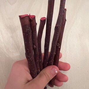 Cranberry Infused Apple Wood Sticks Small Pet Toys | 6 pack