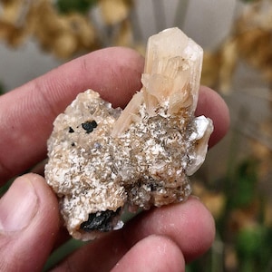 Sparkly Apophyllite Fairy Bed with points like diamonds Specimen || Metaphysical Crystal