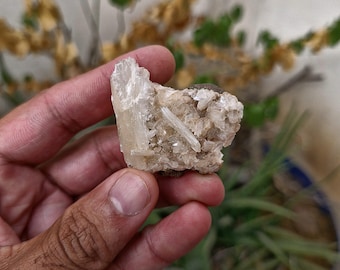 Rare Dogtooth Calcite Specimen Metaphysical Crystal.