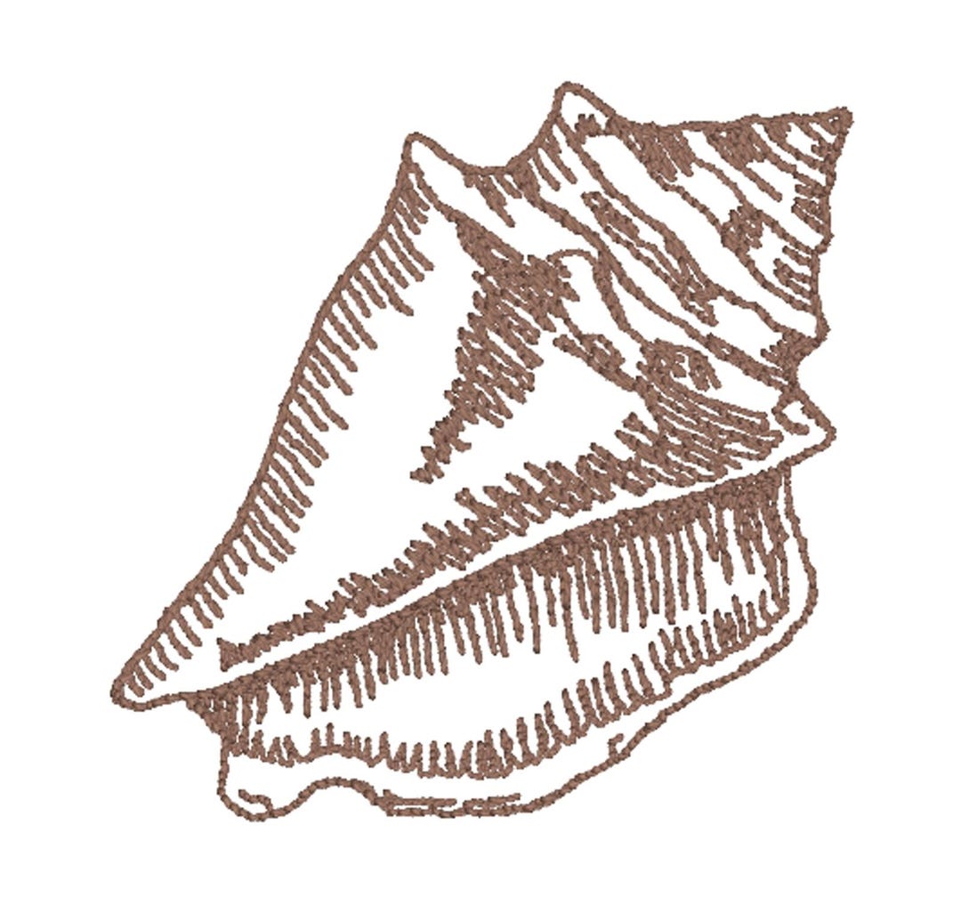 Conch Shell Machine Embroidery Design - Etsy