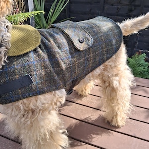 May include: A dog coat made from tweed fabric, featuring a brown, blue, and green check pattern. The coat has a corduroy collar and a button fastening. The dog is standing on a wooden deck.