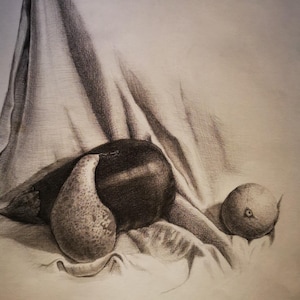 Könnte beinhalten: Bleistiftzeichnung eines Stilllebens mit einer Birne, einer runden Frucht und einem dunklen, runden Objekt, möglicherweise einem Apfel oder einer Pflaume. Die Früchte liegen auf einem drapierten Tuch, mit weichen Schattierungen.