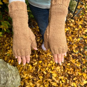 Könnte beinhalten: Ein Paar braune gestrickte Fingerlose Handschuhe mit geripptem Bündchen. Die Handschuhe werden vor einem Hintergrund aus heruntergefallenen Herbstblättern gezeigt.