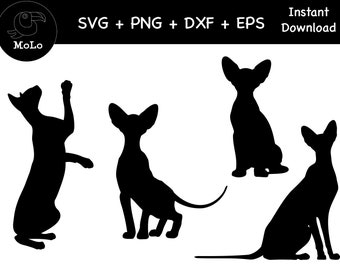 Peterbald Cat Bundle, Sphynx Cat Decal, SVG, PNG, DXF, Cat Silhouette