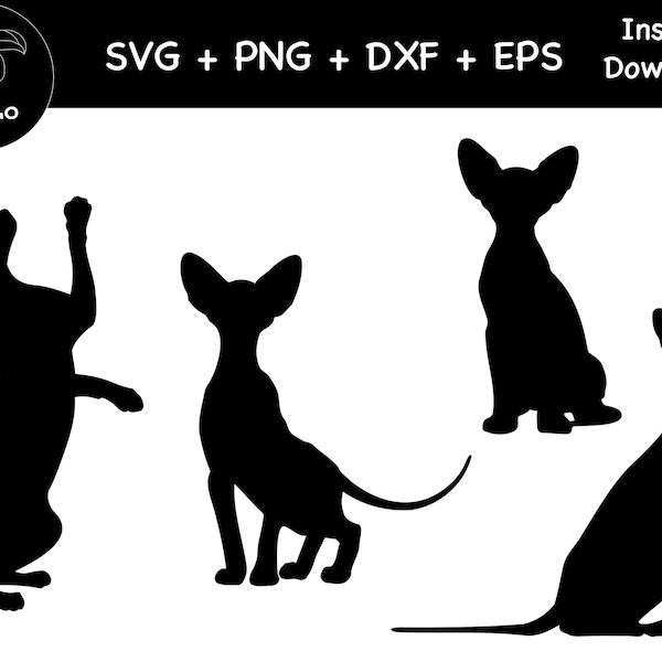 Peterbald Cat Bundle, Sphynx Cat Decal, SVG, PNG, DXF, Cat Silhouette