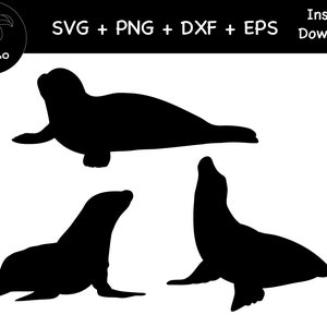 Seelöwe Aufkleber, SVG, PNG, DXF, Seelöwe Silhouette, SVG, PNG