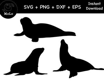 Seal Bundle, Sea Lion Decal, SVG, PNG, DXF, Seal Silhouette