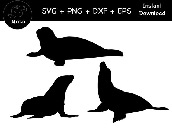 Seal Bundle, Sea Lion Decal, SVG, PNG, DXF, Seal Silhouette