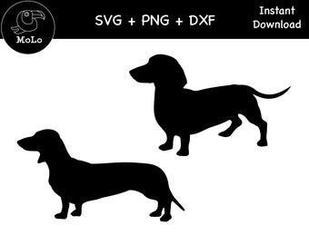 Dachshund Svg, Dachshund Decal, SVG, PNG, DXF