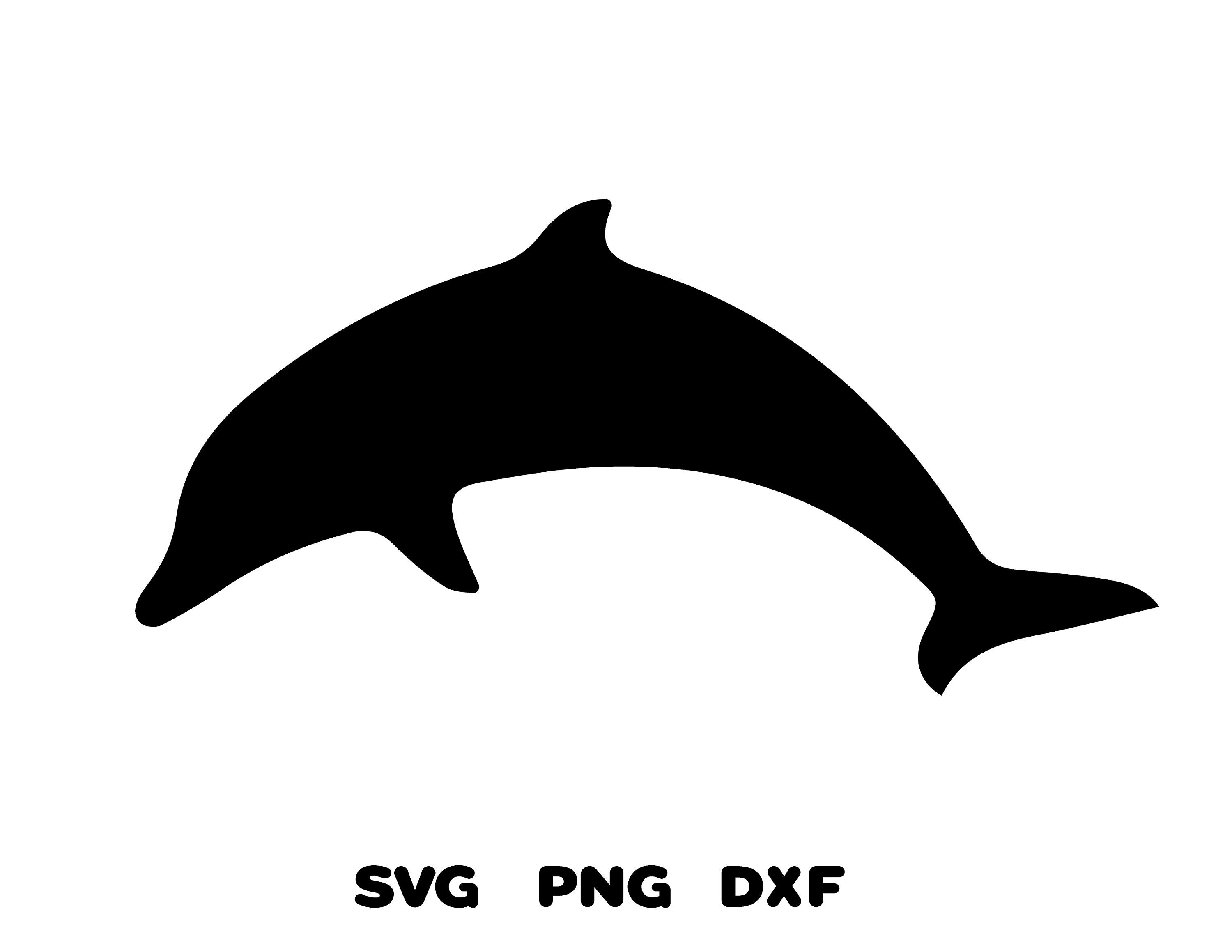 Dolphin Svg Dolphin Clip art Cricut SVG PNG DXF Silhouette | Etsy
