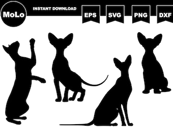 Peterbald Cat Bundle, Sphynx Cat Decal, SVG, PNG, DXF, Cat Silhouette