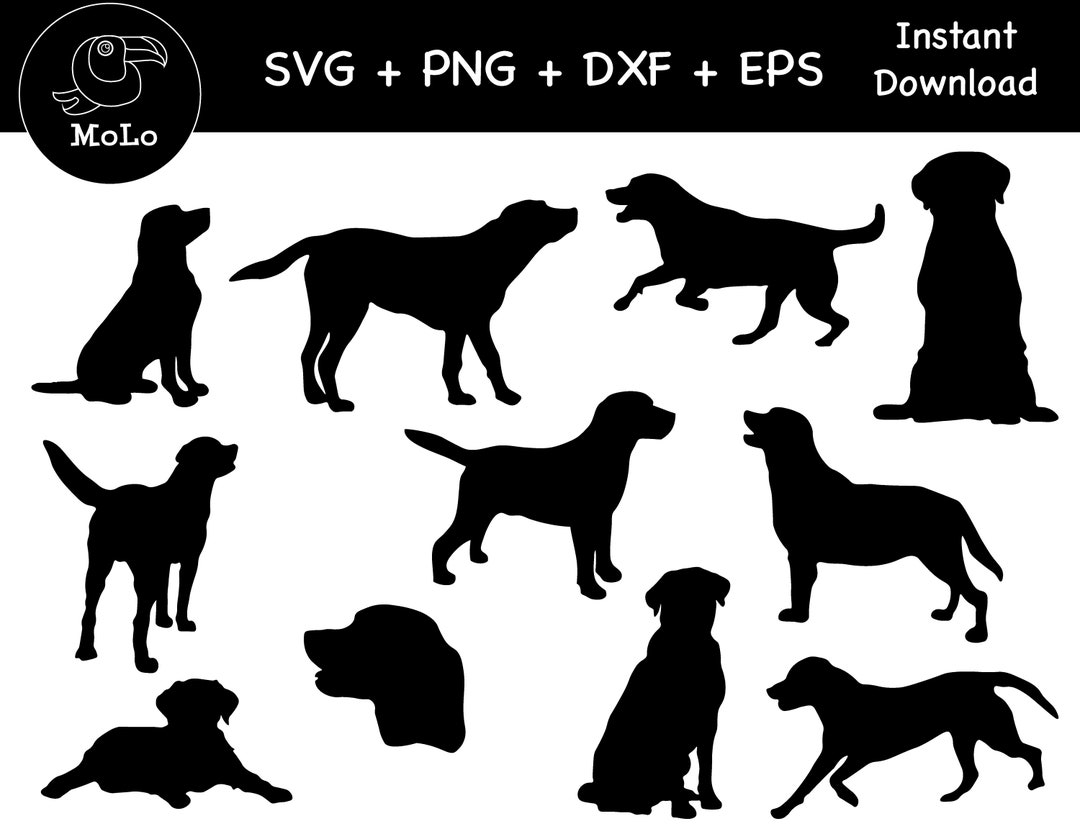 Black Labrador Dog Decal: SVG, PNG, DXF (digital Download) - Etsy