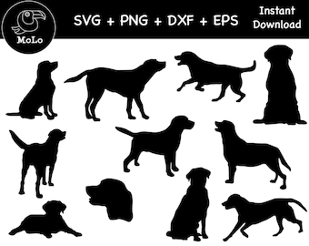Adesivo de cachorro labrador preto: SVG, PNG, DXF (download digital)