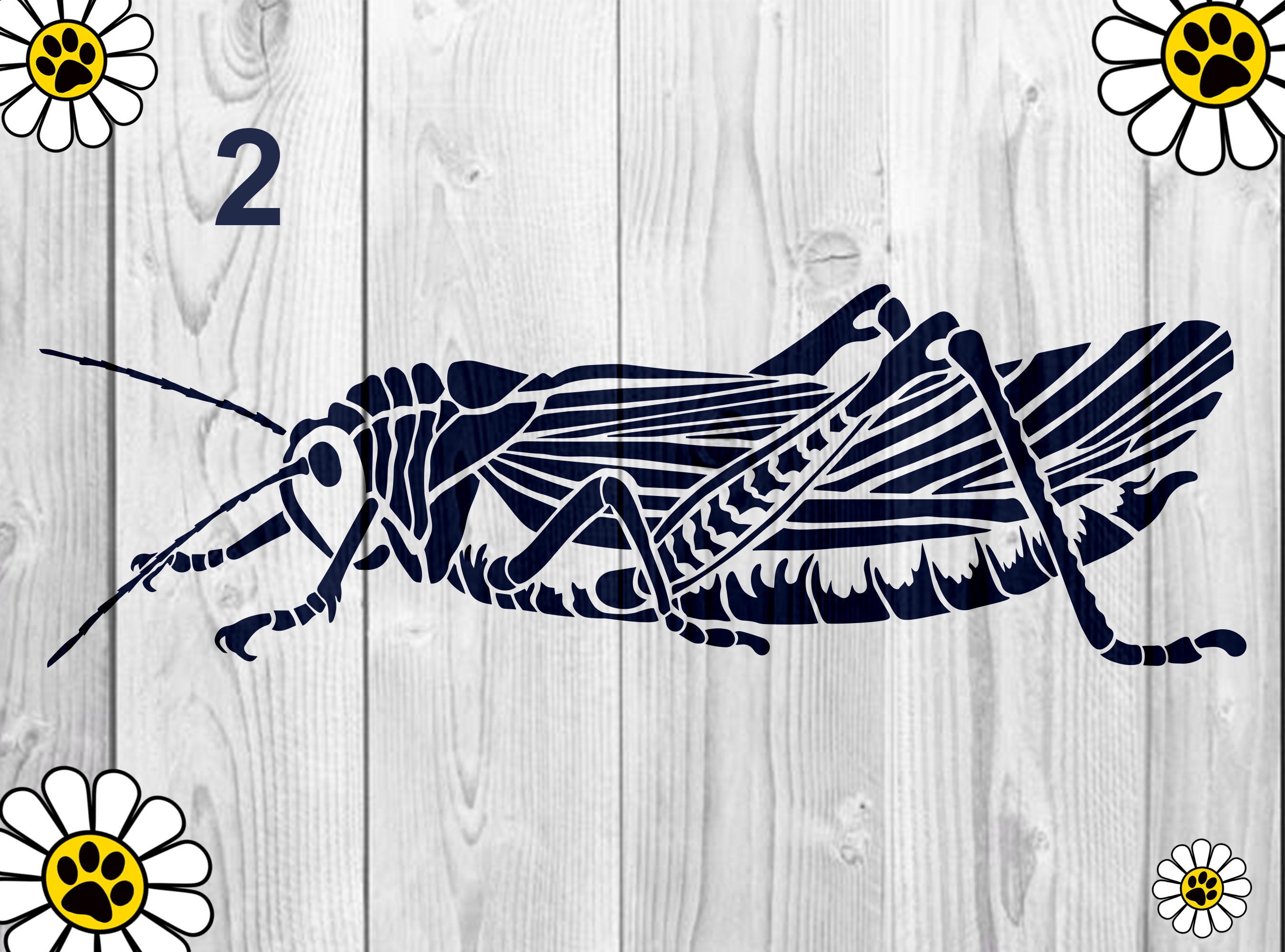 Insect stencils for arts and crafts | Etsy
