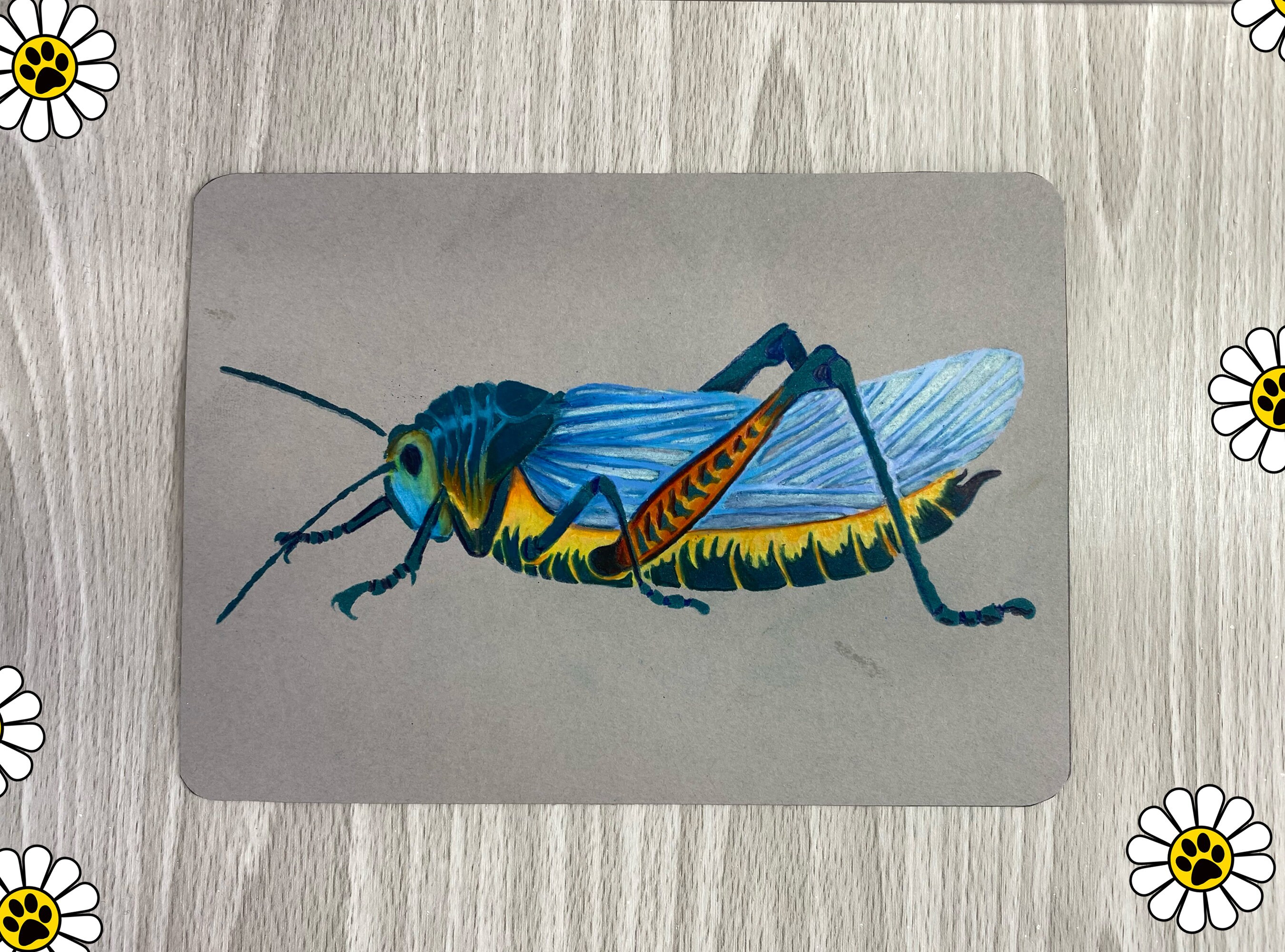 Insect Stencils for Arts and Crafts - Etsy UK