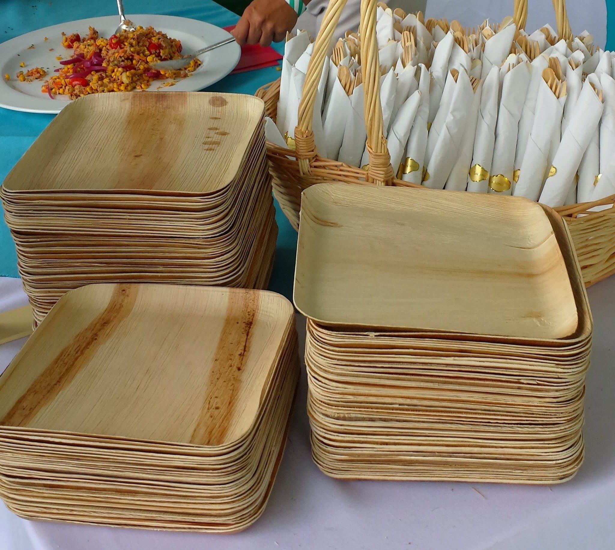 Bamboo Style Palm Leaf Disposable Eco-friendly Square Plate 10 Plates ...