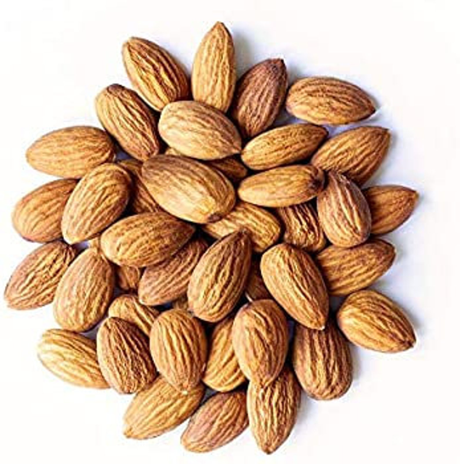 Free Shipping 100 Organic Almonds Natural Whole Shelled Etsy