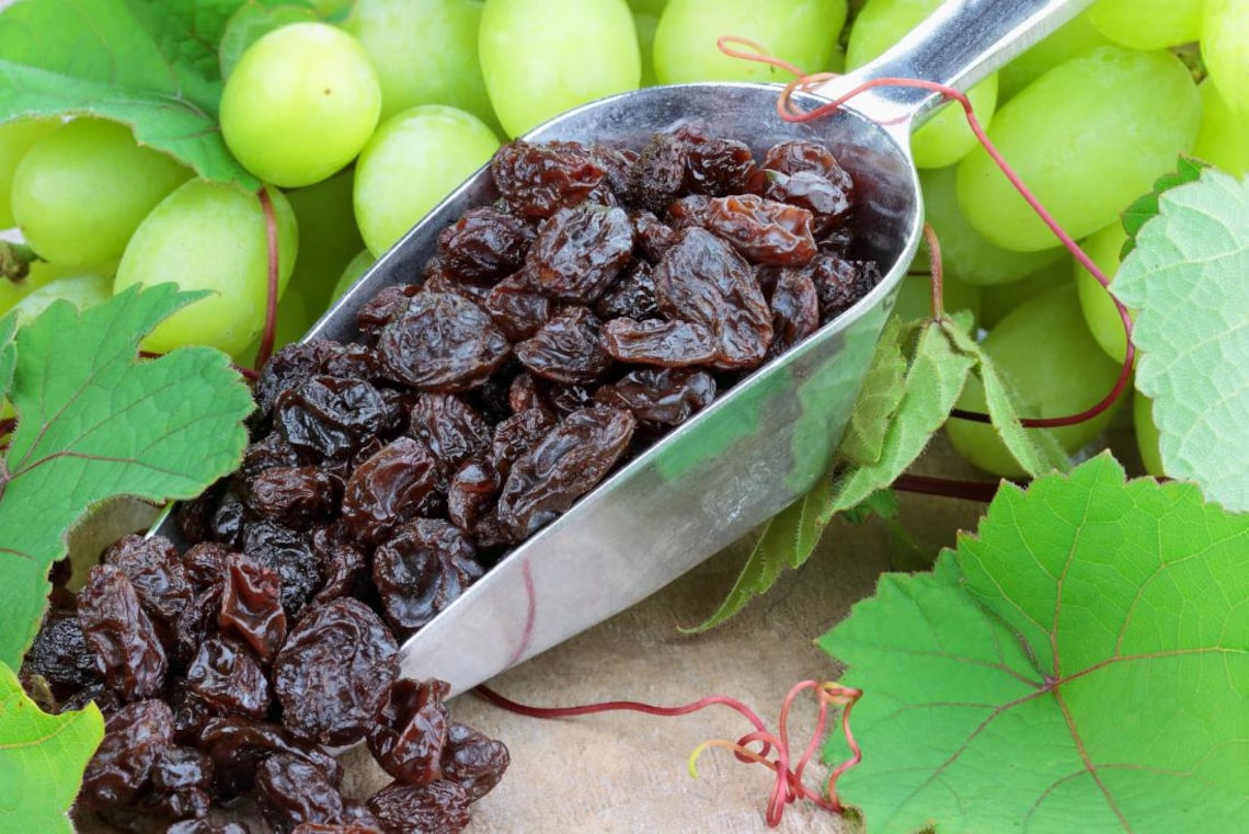 100 Organic Dried Grapes Raisins Dry Fruit Grape Seedless Etsy