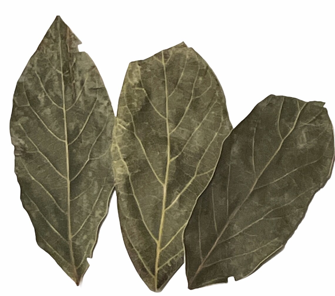 Hojas De Aguacate Secas Avocado Leaves Dry From Mexico Etsy España