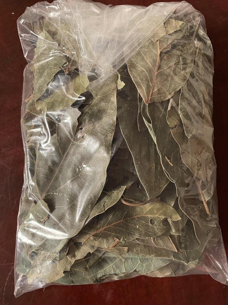 Hojas De Aguacate Secas Avocado Leaves Dry From Mexico Etsy