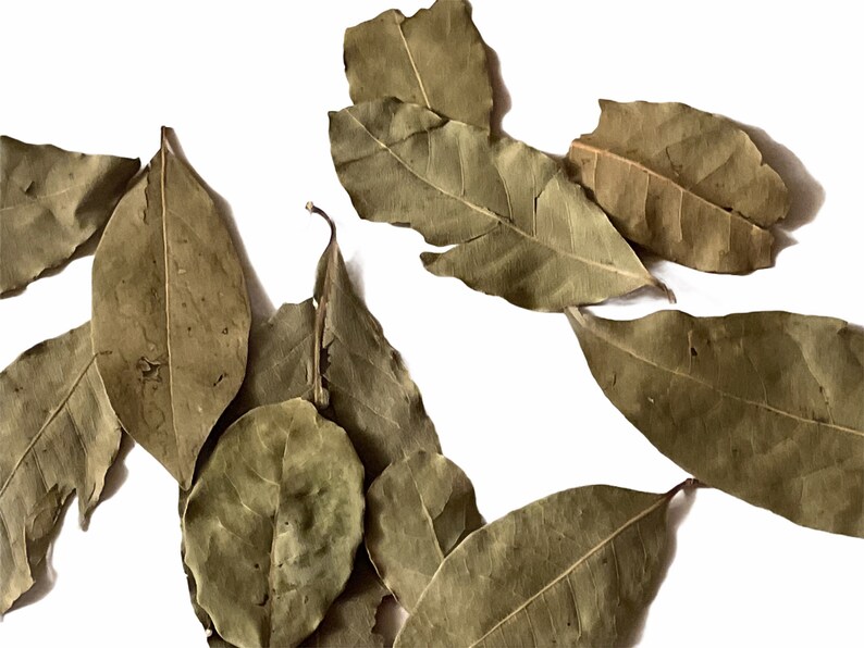 Bay Leaves Hoja De Laurel 3 Oz. Whole Dried Leaf Free Shipping Etsy