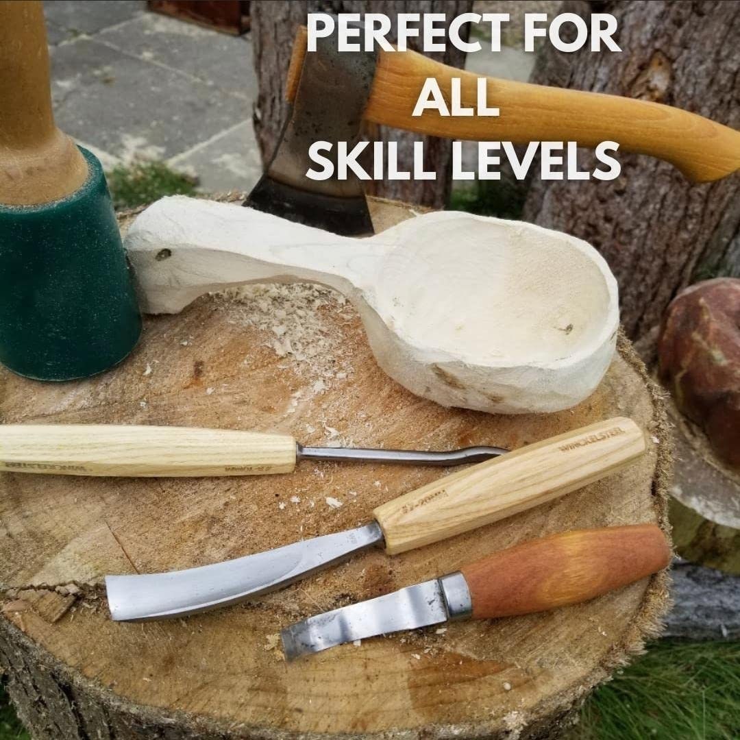 Wood Carving Tools Set of 12 Wood Chisels – Winckelsteel