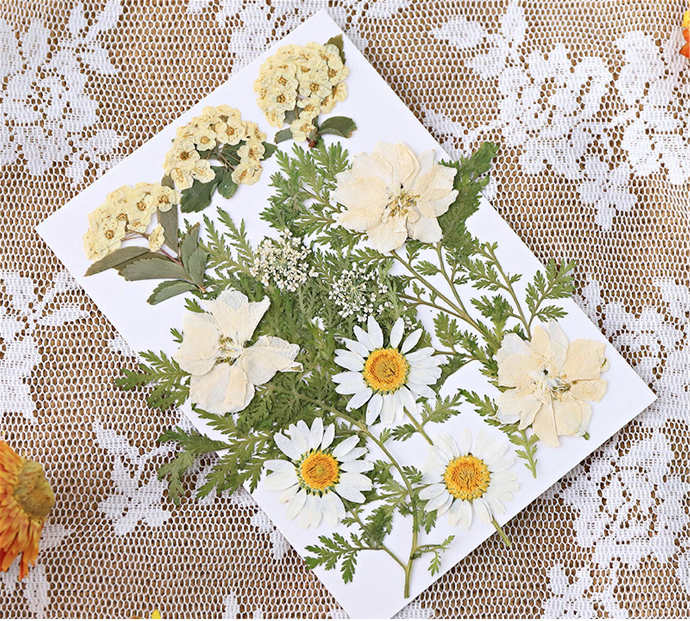 Real Dried Pressed Flowers dry flower leaves About 1620PCS Etsy