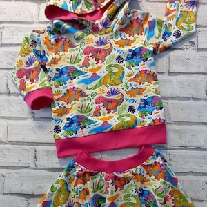 Regenbogen Dinosaurier Rock und Hoodie Set: Baumwoll-Jersey Kinderkleidung (12-18 Monate)