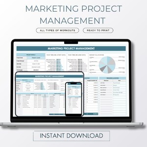 Project Management Spreadsheet, Google Sheets & Small Business, Project Planner, Project Tracker, Task Organizer, Team Scheduler