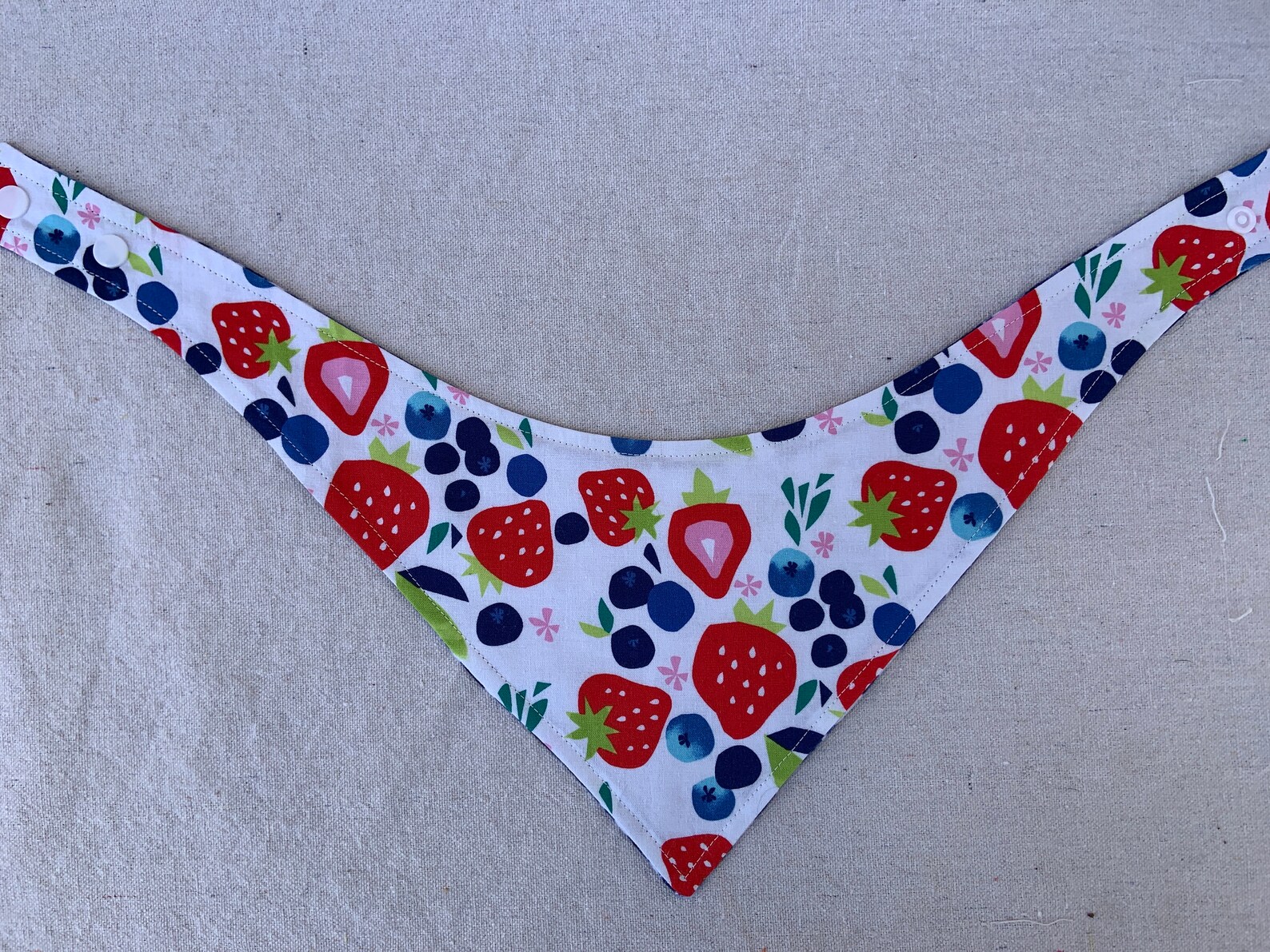 hund heidelbeeren