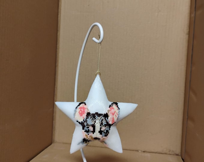 Peyote Star Chihuahua