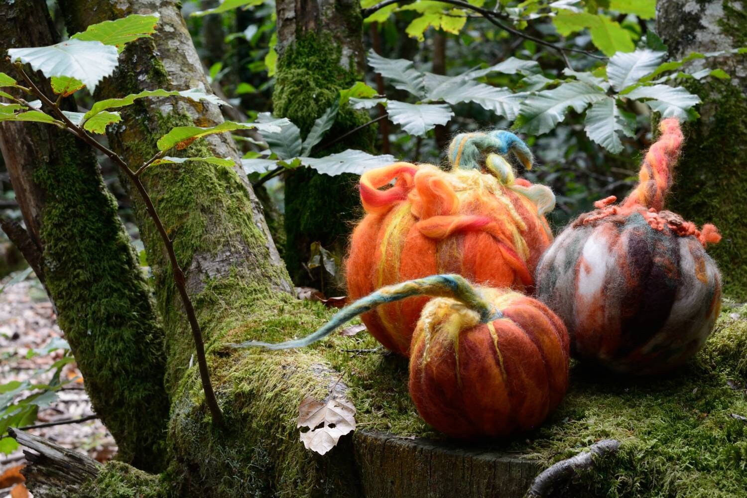 Grande Citrouille L'âme de La Sorcière